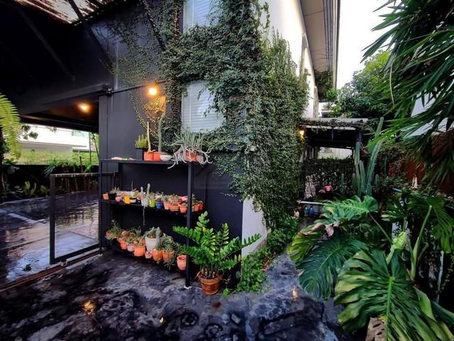 ให้เช่าบ้านเดี่ยว 2 ชั้น 65 ตรว. หมู่บ้านโนเบิล จีโอ วัชรพล Noble Geo Watcharapol ใกล้เพลินนารี่ มอลล์ ตลาดถนอมมิตร 3