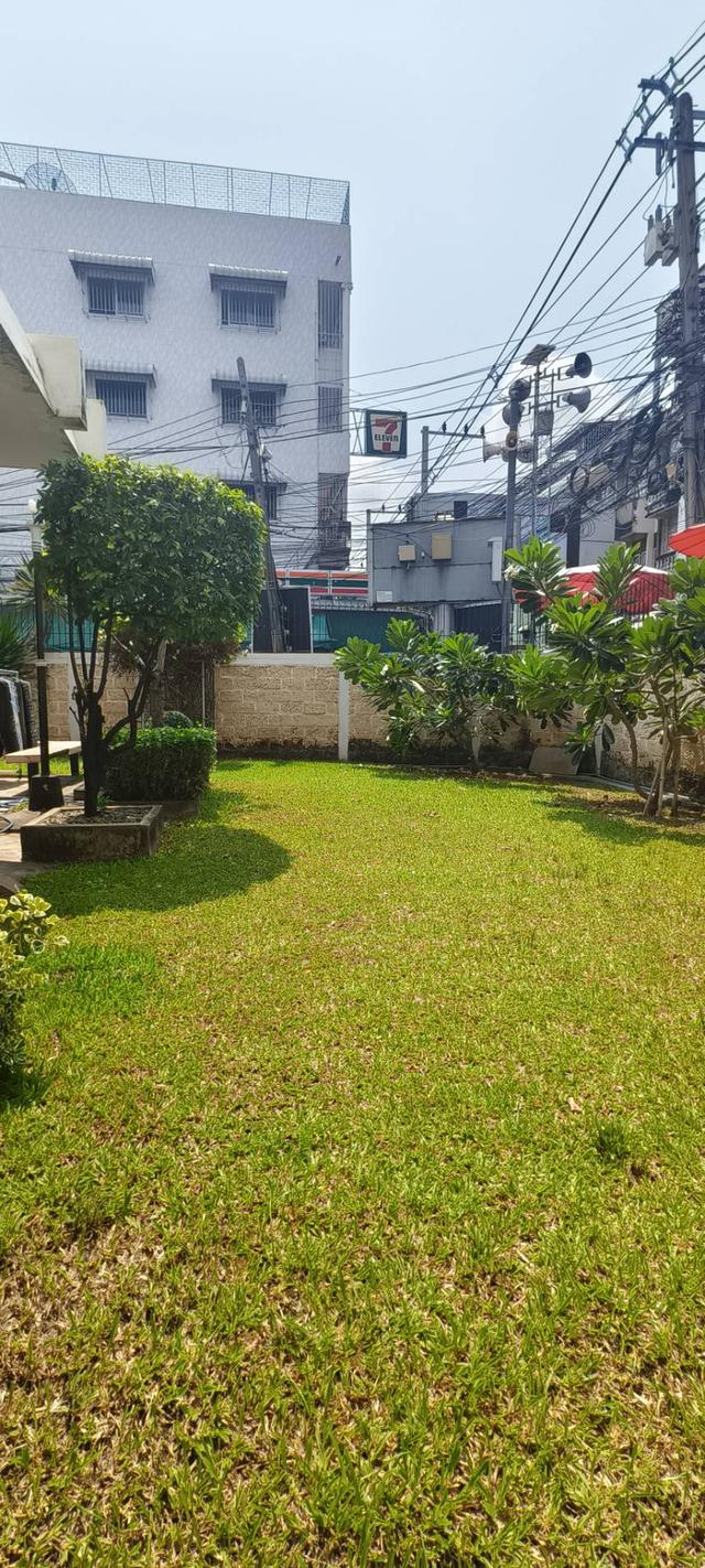 ขายที่ดินพร้อมสิ่งปลูกสร้าง ซอยสำโรงเหนือ 3 ถนนสุขขุมวิท 113 ต.สำโรงเหนือ อ.เมือง จ.สมุทรปราการ 4
