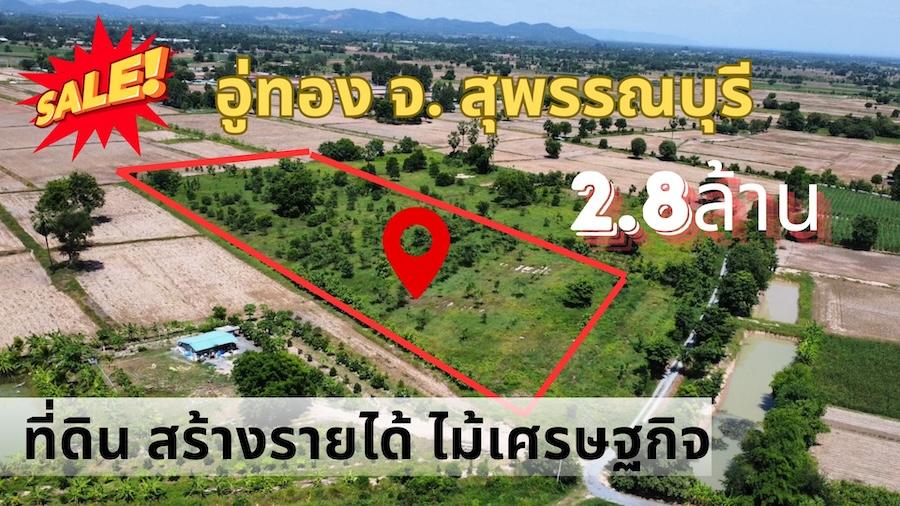 ที่ดินสวนป่า สร้างรายได้ อู่ทอง สุพรรณบุรี ขนาด 10 ไร่  2