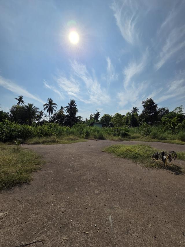 ขายที่ดิน วัดชลอ บางกรวย 6