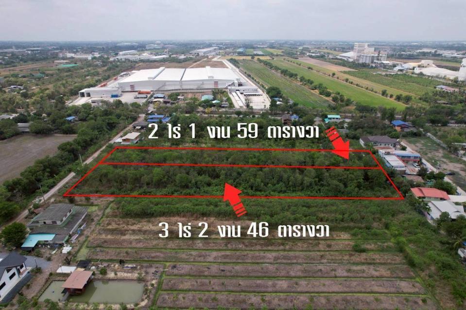 ที่ดินจังหวัดปทุมธานี 1