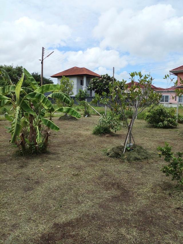 ที่ดินเปล่าจัดสรร(หมู่บ้านวิจิตราธานี) 5