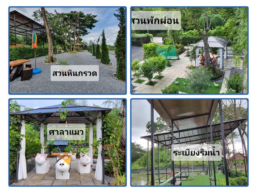 ขายต่ำกว่าทุนหลายล้าน บ้านน่ารักพร้อมสวนเกษตรรีสอร์ทเกือบ 2 ไร่ อ.นครชัยศรี 3.9 ล้าน 3