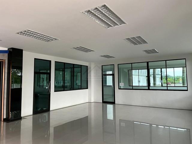 ขาย โรงงาน พร้อมที่ดิน 58 ไร่ ชลบุรี บ่อทอง สภาพใหม่มาก พร้อมใบอนุญาติ รง.4 ใกล้วัดบ่อกวางทอง 11