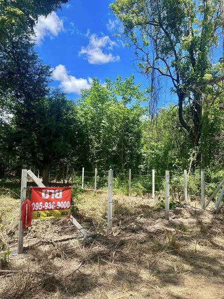 ขายที่ดินโฉนดเขาใหญ่ 114 ตารางวา ใกล้ถนนมิตรภาพและถนนหลวงหมายเลข 1016 ต.พญาเย็น อ.ปากช่อง จ.นครราชสีมา 1