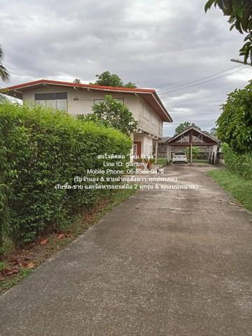 บ้าน ขายบ้านปูนกึ่งไม้ 2 ชั้น 5 น 3 น้ำ (ทรงคลาสสิค) พร้อมพื้นที่สวน 351 ตร.ว. @ตลาดท่าศาลา จ.นครศรีธรรมราช ใกล้กับ ตลาด 3