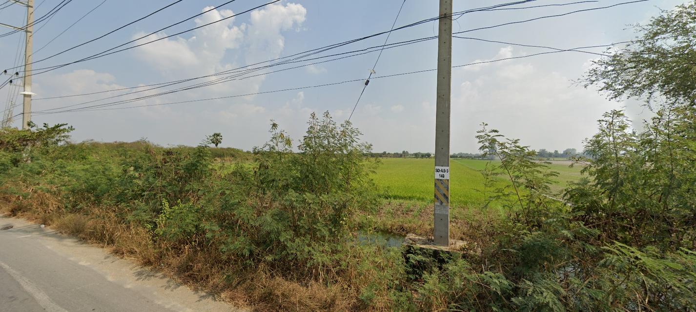 ขาย ที่ดิน45ไร่ พื้นที่สีเขียวลาย หน้ากว้าง 200ม.  ถนนทางหลวงชนบท นฐ.3004 บางเลน-ศาลายา ตำบลลำพญา อำเภอบางเลน นครปฐม 7