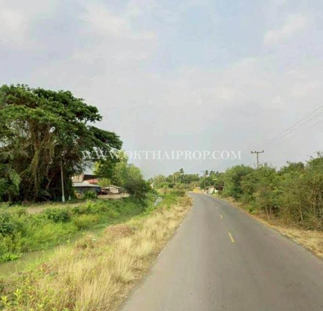 ขายที่ดินพร้อมต้นสัก ใกล้อบต.สร้อยทอง อ.ตาคลี จ.นครสวรรค์ 4