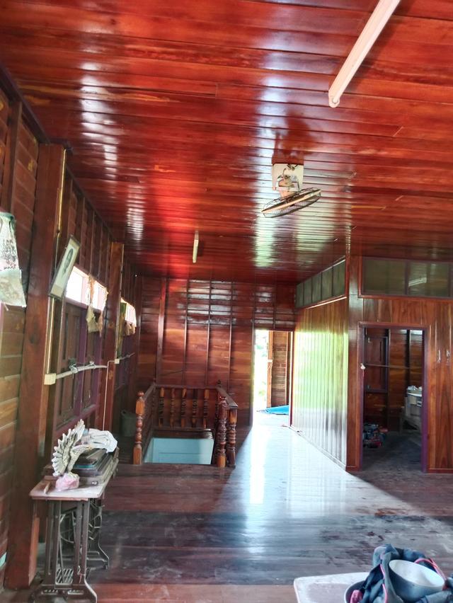 บ้านริมน้ำพร้อมกระชังเลี้ยงปลาและสวน 3