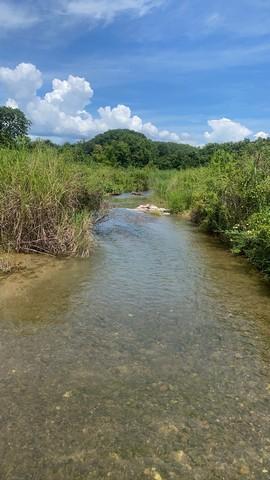 หาที่สวยวิวดีเงื่อนไขสบาย ขายที่ดินติดลำธารน้ำใสไหลริน ชุ่มฉ่ำตลอดปี สวยวิวล้าน 800000บาท 3-0-35ไร่ อำเภอสันติสุข น่าน 1