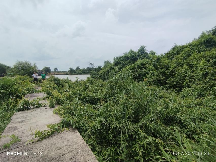 🌿ขายที่ดิน9ไร่กว่า วิวแม่น้ำบางปะกง ต.หัวไทร อ.บางคล้า เหมาะลงทุน-พัฒนาธุรกิจเชิงนิเวศหลายรูปแบบ 8
