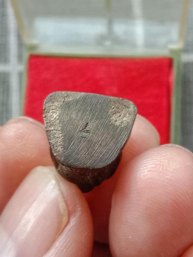 พระสังกัจจายน์5รอบพระราชินี รูปย่อยที่ 4