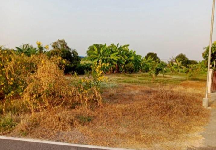 ให้เช่าที่ดินเปล่าถมแล้ว 226 ตารางวา ใกล้แม่น้ำน่านวิวสวย 4