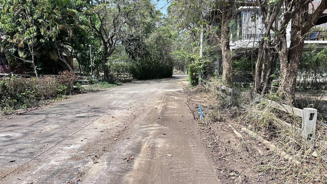 ที่ดิน อ.ปากช่อง จ.นครราชสีมา 4