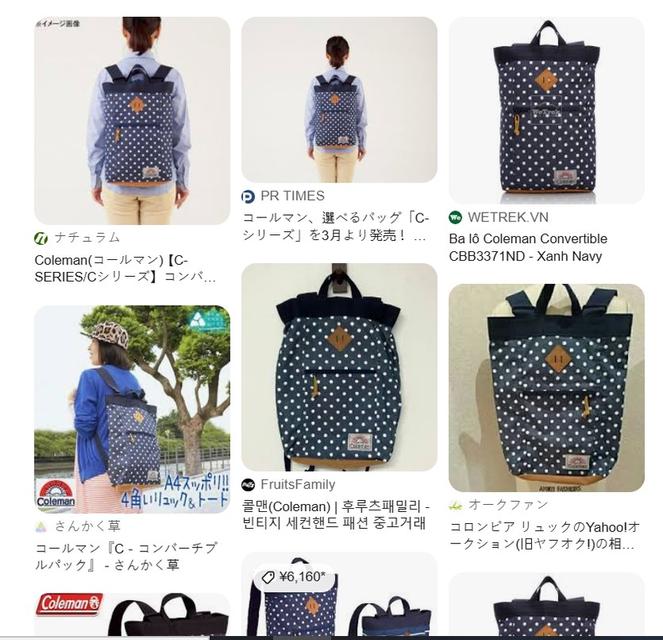 Coleman Dot Series Backpack รูปที่ 12