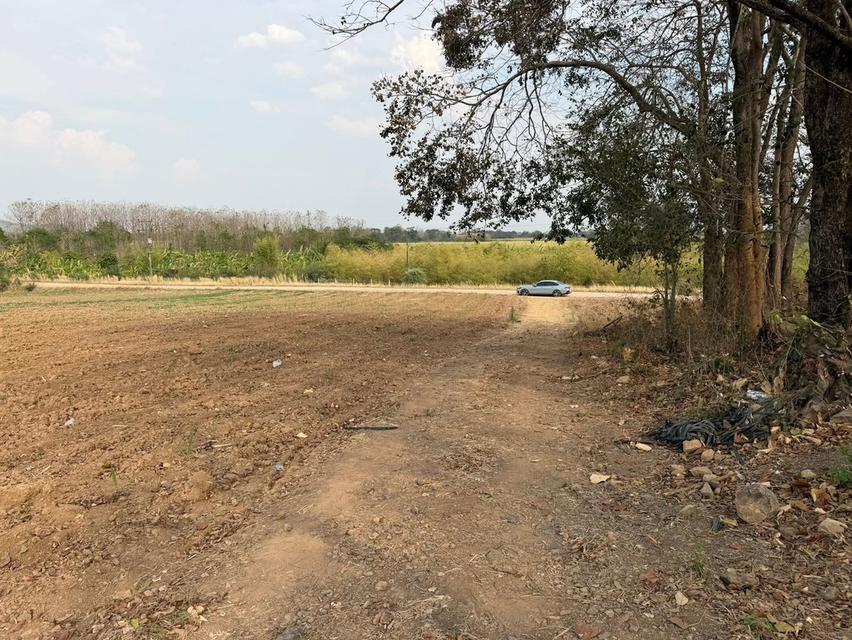 ขายที่ดินติดลำธารที่เพชรบูรณ์ 12