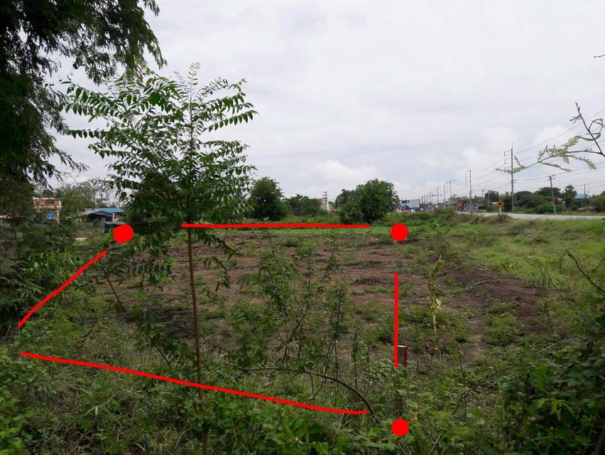 ขายที่ดิน 206 ตรว.ติดถนนใหญ่ อ.เสนา จ.อยุธยา ขาย 2 ล้าน 5