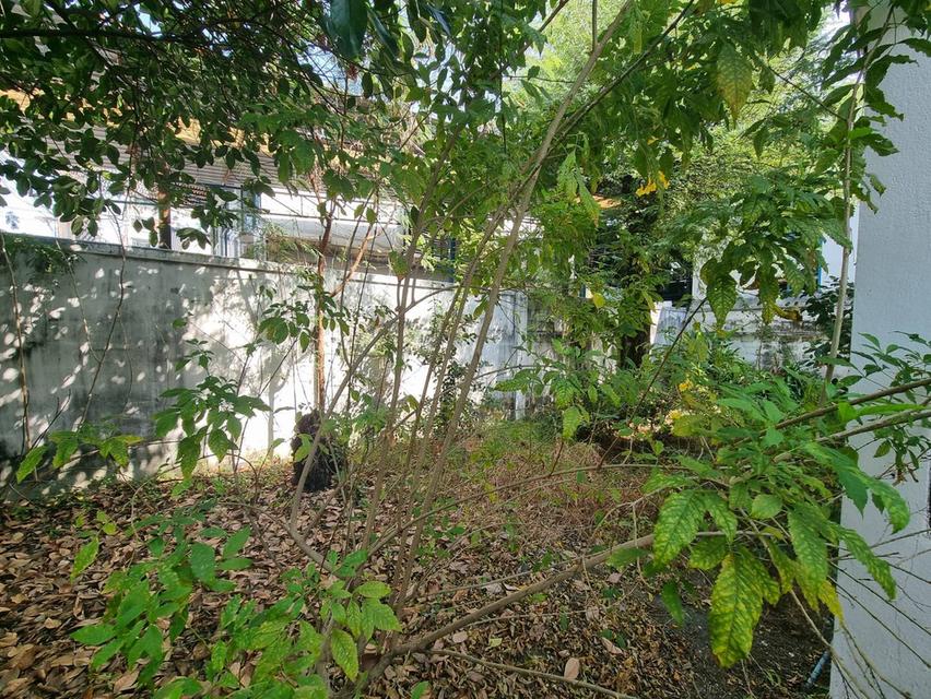 บ้านเดี่ยว  ซ.โชตชัย4  4