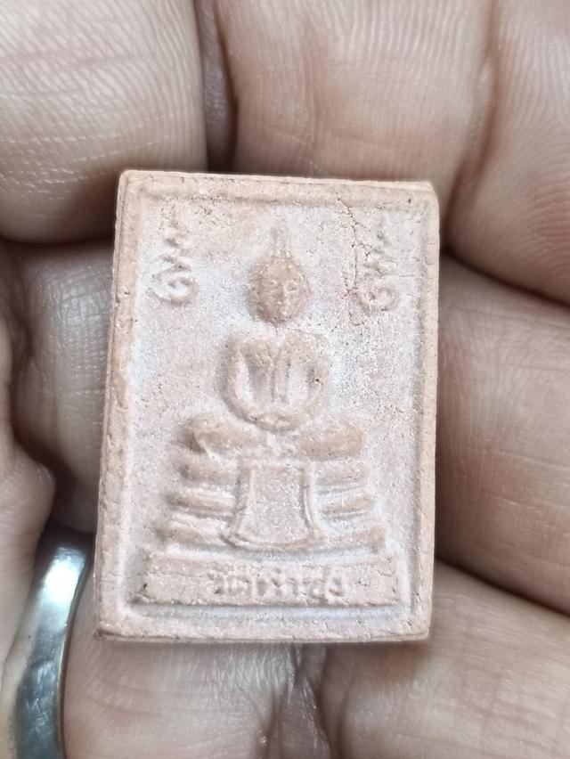 พระหางหมากหลวงพ่อฤาษีลิงดำ