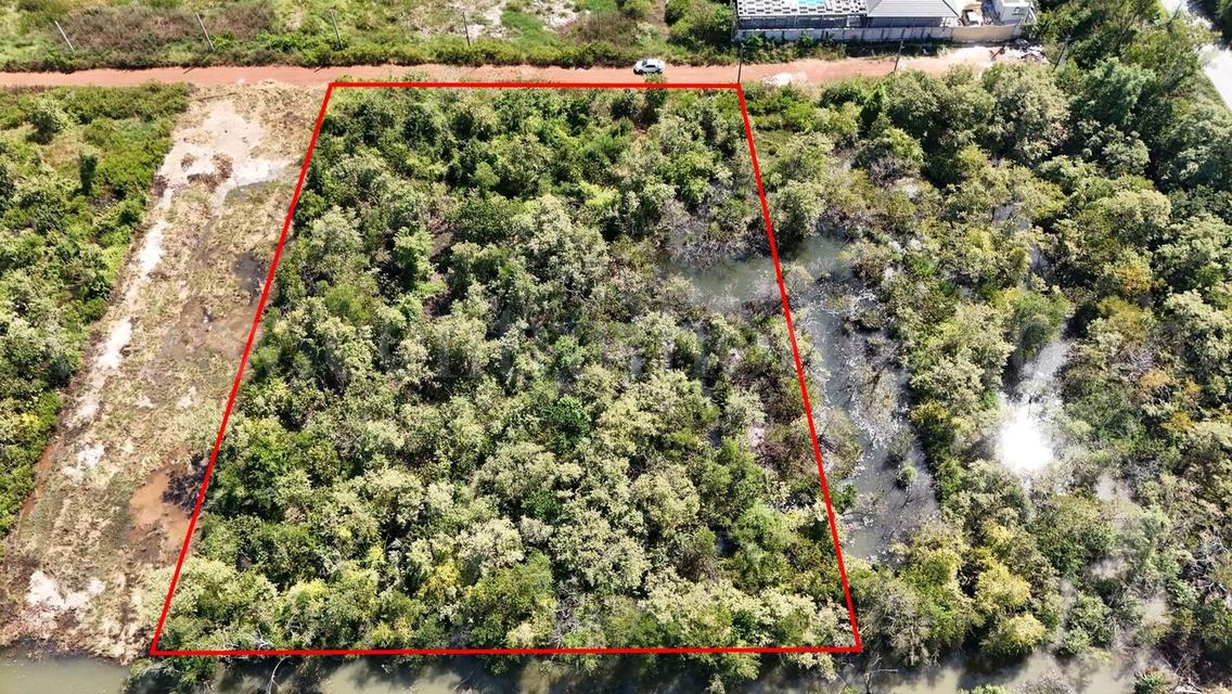 ที่ดินเปล่า 4 ไร่ แบ่งขายได้แปลงละ 1 ไร่ บางปะกง - ฉะเชิงเทรา ราคาถูก 7