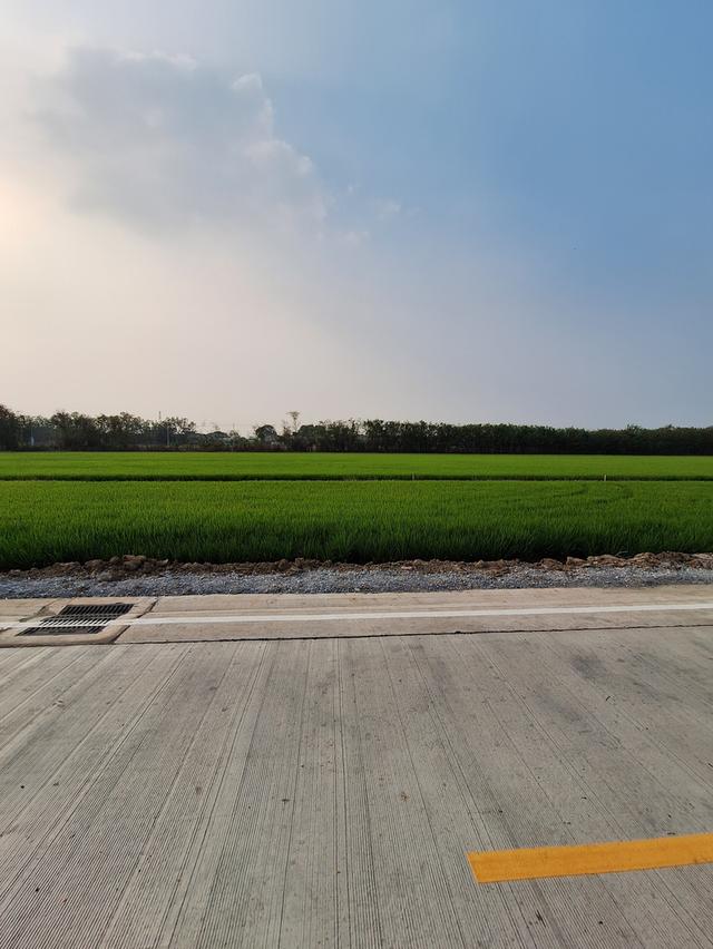 ที่ดินเปล่า 50 ตรว. ซอยเทศบาล 13 ตรงข้ามโรงพยาบาลไทรน้อย ราคา 800,000 5