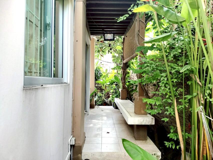 🏡ขายบ้านแฝด เอโทล มัลดีฟส์ ปาล์ม (บางนา กม.8 -วงแหวน) สภาพดี 15