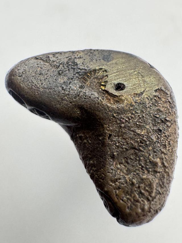 พระปิดตาหลวงพ่อดำ วัดใหม่ นภาราม รุ่นสมปรารถนา 4