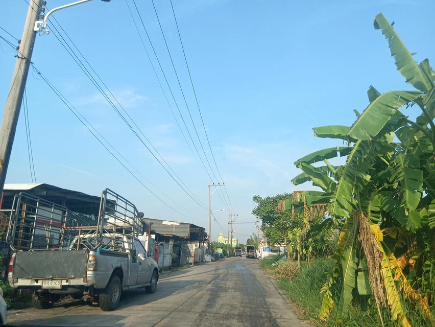 ขายที่ดิน 2 ไร่ ลำลูกกาคลอง 4 ถนนพระองค์เจ้าสายคลอง 4 ตำบลลาดสวาย อำเภอลำลูกกา จังหวัดปทุมธานี 3