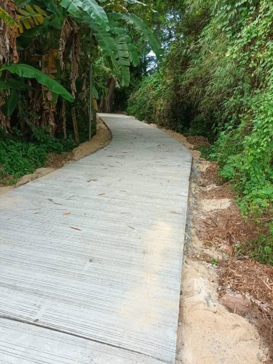 ขาย/ให้เช่า/หรือแลกเปลี่ยน ที่ดินสวนผลไม้ 1 ไร่ 2 งาน 3.8 ตร.ว. ติดคลองนุ้ย ต.ตำนาน อ.เมืองพัทลุง 6