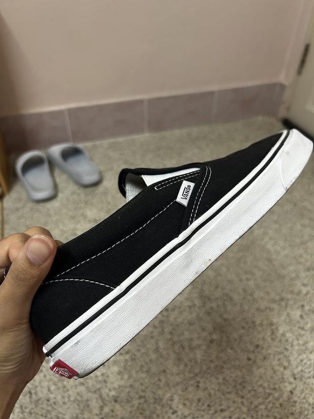 Vans 4