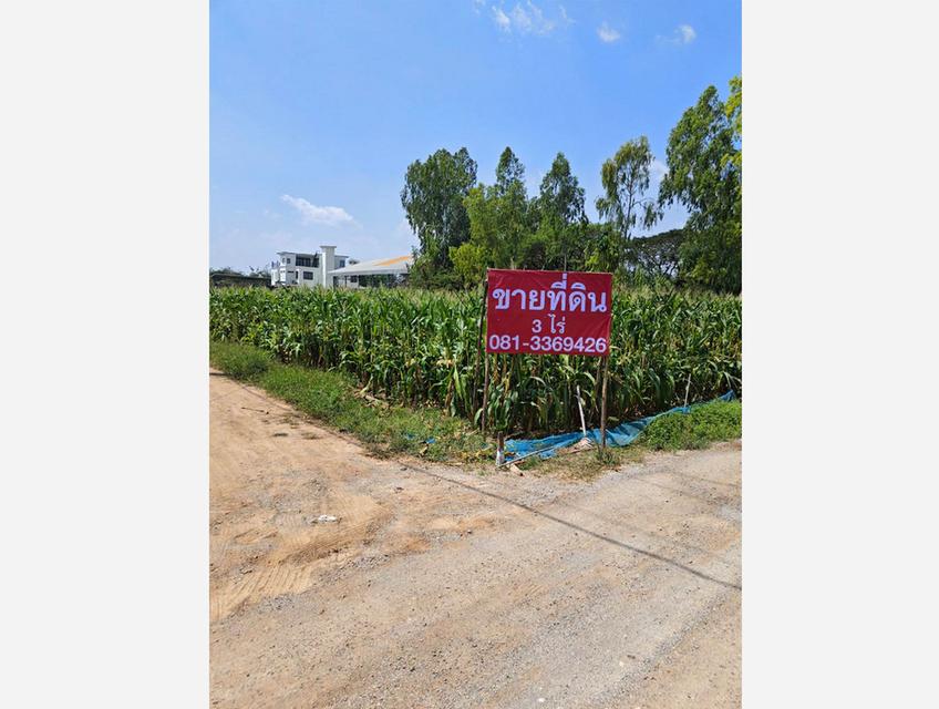 ขายที่ดินแปลงสวย ท่าม่วง กาญจนบุรี เหมาะลงทุน ใกล้ถนนใหญ่ เข้า-ออกได้หลายทาง เดินทางสะดวก เพียง 1 ชั่วโมงกว่าจากกรุงเทพฯ 1