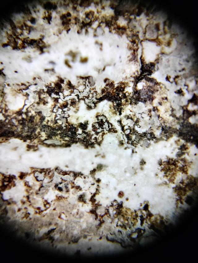 Phra Somdej Wat Rakhang รูปที่ 6