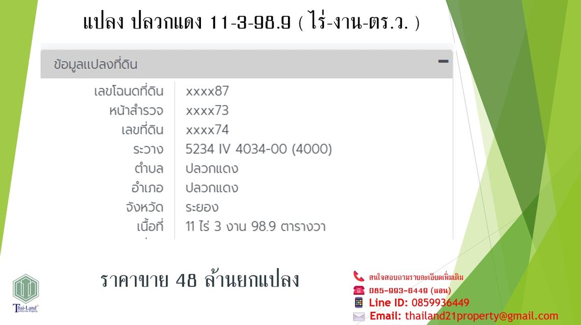 ขายที่ดินสีเหลือง อำเภอปลวกแดง จังหวัดระยอง  เนื้อที่ 11 ไร่ 3 งาน 98.9 ตารางวา 7