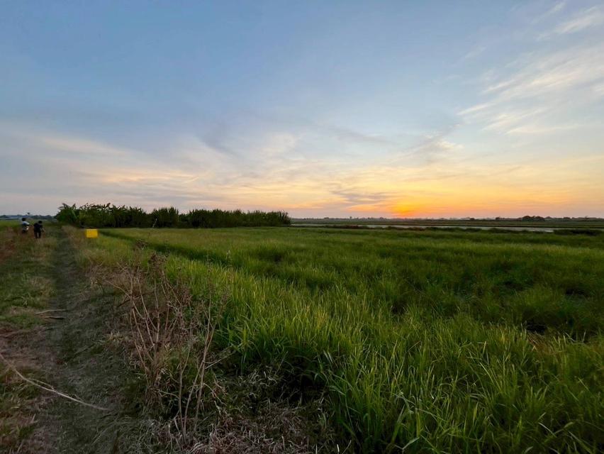 ขายที่ดินเปล่า ซอยโรงงานจานชาม 10 บาท ใกล้อบต พระอาจารย์ 3