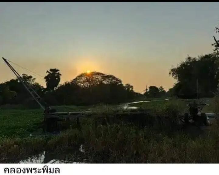 ที่ดิน นนทบุรี 11