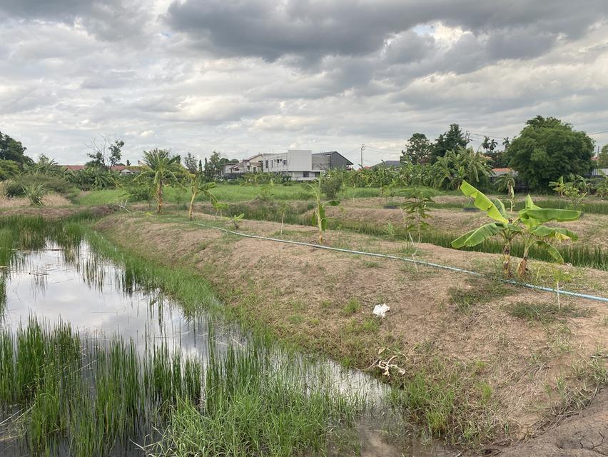 ขายที่ดินเปล่า 745 ตร.ว. ซ.เทิดราชัน 47 ดอนเมือง ทำเลทอง ติดถนนเทิดราชัน 2