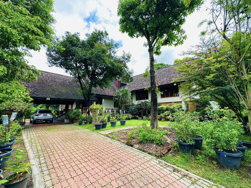 ขายรีสอร์ท & บ้านหลังใหญ่ เขาใหญ่ ปากช่อง 5