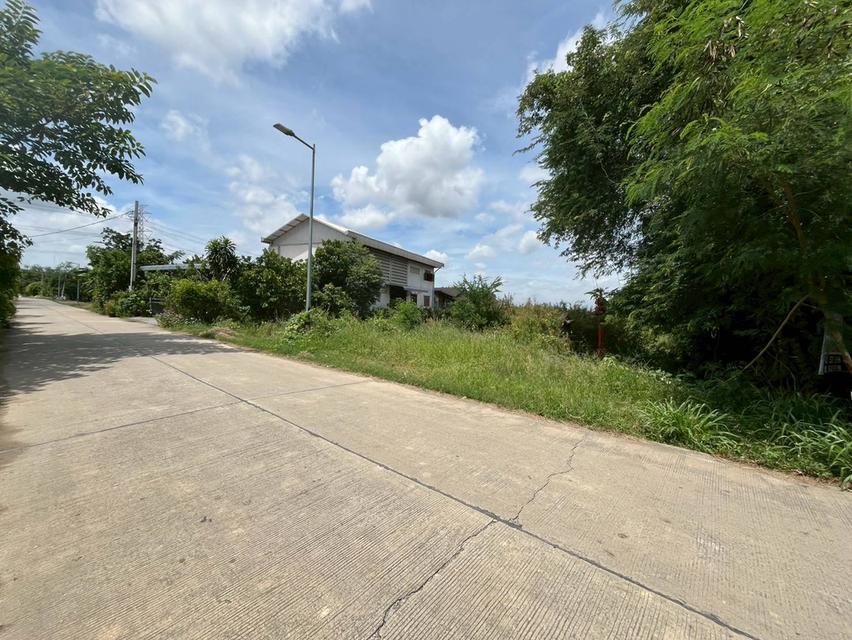 ขายที่ดินเปล่า เลียบคลองห้าร้อย ตำบลคลองขวาง อำเภอไทรน้อย จังหวัดนนทบุรี 3