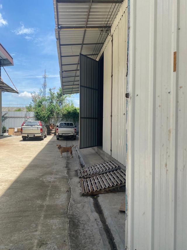 คุ้มกว่านี้ไม่มีแล้ว‼️โกดังให้เช่าย่านสายไหม31 พื้นที่โล่ง✔️ โปร่ง✔️ เก็บของได้เยอะ✔️ ในราคาที่เข้าถึงง่ายมาเก็บของที่โกดังเรากันนะคะ 6