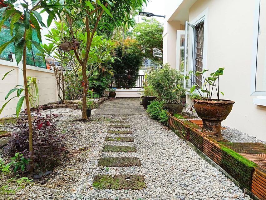 ขายบ้านเดี่ยว 2 ชั้น ภายในหมู่บ้านวรารมย์ ต้นสมอ อ.เมืองตรัง จ.ตรัง 3