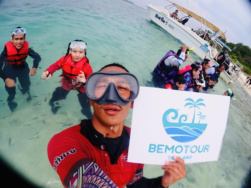 โปรแกรม SM115 ทัวร์ดำน้ำแสมสาร  One day trip ราคา 1,800 บาท รวมทุกอย่าง จาก กทม. 7