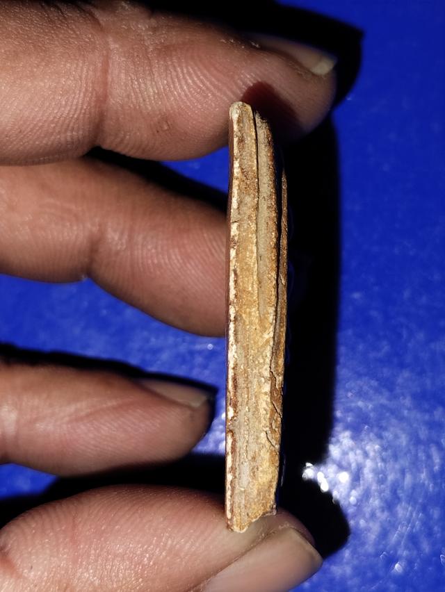 พระสมเด็จฯวัดระฆังพิมใหญ่ 3