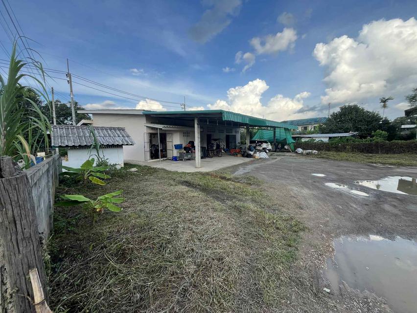 อสังหาริมทรัพย์ ที่ดิน ตึกพานิชย์ 10