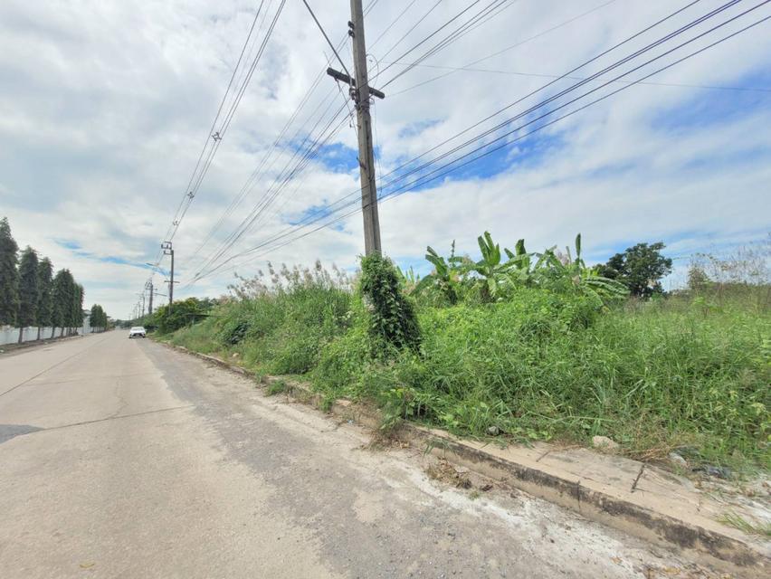 ขาย ที่ดินเปล่า พระรามสอง​ ซอย​ 100​ ขนาด 83-0-275 ไร่ เหมาะสร้างหมู่บ้านจัดสรร​ โกดัง​ 3