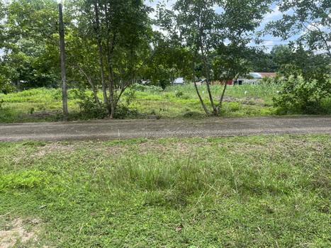 (ขาย)ที่ดิน 200 ตารางวา มีโฉนด ถมแล้วเต็มพื้นที่ หน้าโรงพยาบาลปากพลี ขาย 7 แสนบาท 20