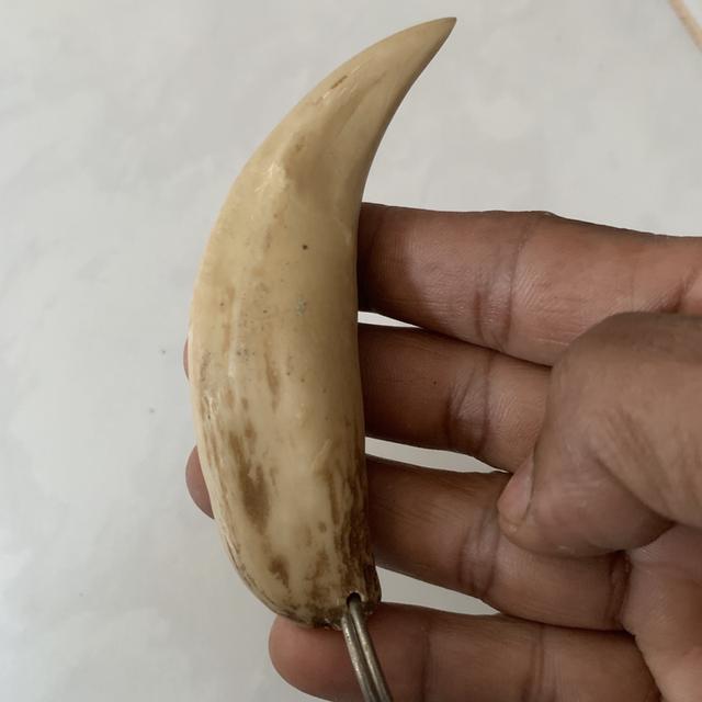 ของสะสม ไม่ทราบที่มา 4