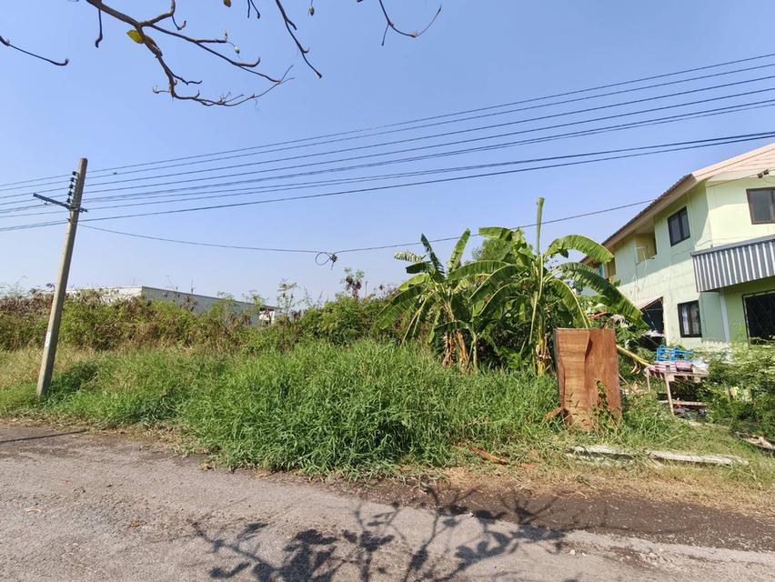 ขายที่ดิน เมืองเอก บางปู 40 ตรว. 5
