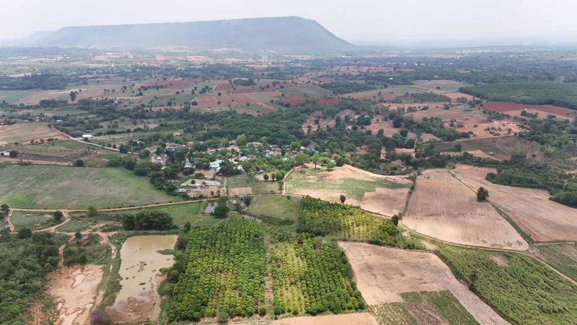 ขายที่ดินทางเลือก (ภบท5) ราคาจับต้องง่าย. ( 612บ./ ตร.วา ) ( 20 ไร่. : 4.9 ล้าน ) | ซื้อขาย เปลี่ยนชื่อได้ : พื้นที่. ปลอดภัยฯ หายห่วง | อากาศบริสุทธิ 8