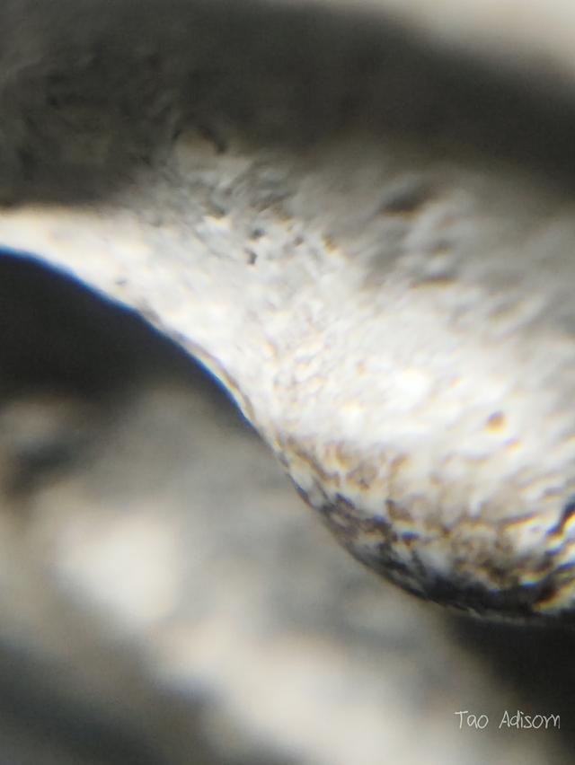 พระสมเด็จวัดระฆังโฆสิตาราม 18