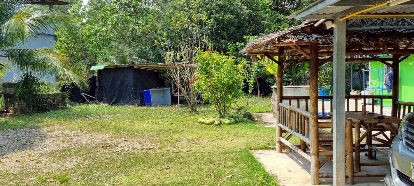 บ้านสวนพร้อมที่ดินพร้อม190ตารางวา 2